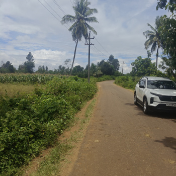 1.5 acres agriculture property
