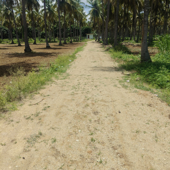 2 acres agriculture property for sale in Channapatna