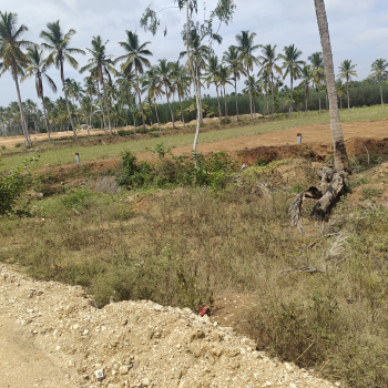 43 gunta main road property for sale in malavalli
