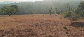 20000 Sq.ft. Agricultural/Farm Land For Sale In Mangaon, Raigad