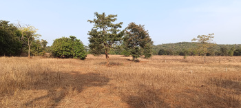 Property for sale in Mangaon, Raigad