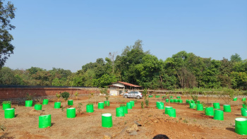 32000 Sq.ft. Agricultural/Farm Land For Sale In Mangaon, Raigad