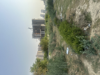 Its greater Noida authority allotted plot