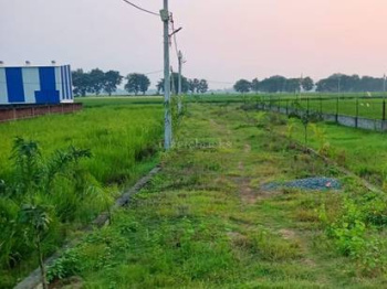 49000 Sq.ft. Residential Plot for Sale in Bihta, Patna