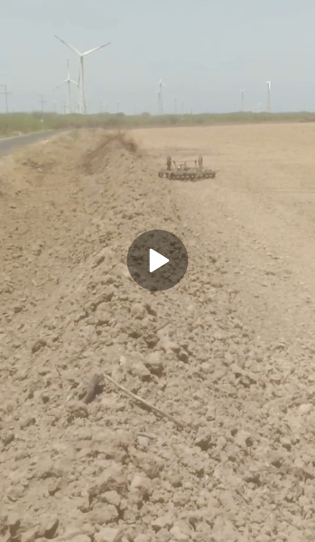 Agricultural/Farm Land For Sale In Abdasa, Kutch (22 Acre)