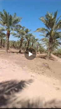 Property for sale in Bhujpur, Kutch