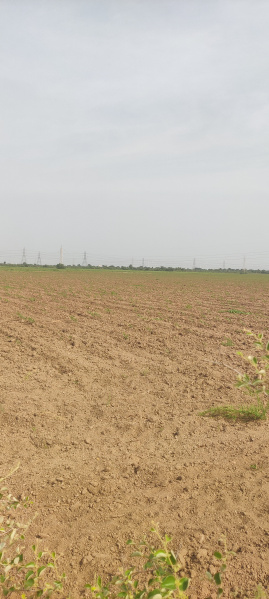 Industrial Land / Plot For Sale In Samakhiali, Kutch (7500000 Acre)