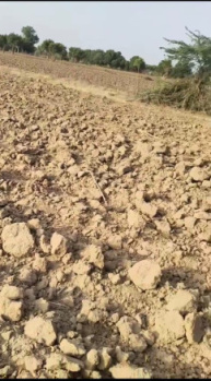 Property for sale in Bhachau, Kutch