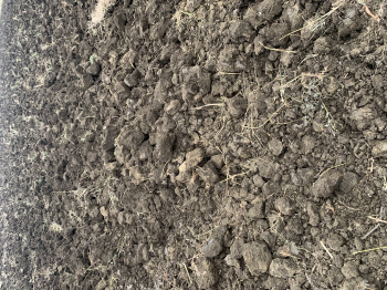 Property for sale in Chincholi, Gulbarga