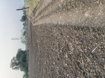 8 Acre Agricultural/Farm Land for Sale in Chincholi, Gulbarga
