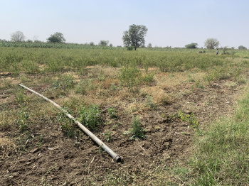 26 Acre Agricultural/Farm Land for Sale in Chincholi, Gulbarga