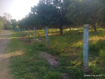 Residential Plot for Sale in Padra, Vadodara (45000 Sq.ft.)