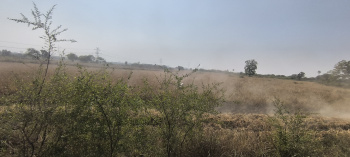 Industrial Land / Plot for Sale in Waghodia, Vadodara (40000 Sq.ft.)