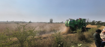 Industrial Land / Plot for Sale in Waghodia, Vadodara (80000 Sq.ft.)