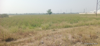 Industrial Land / Plot for Sale in Jarod, Vadodara (200000 Sq.ft.)