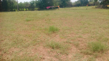 Industrial Land / Plot for Sale in Padra, Vadodara (20000 Sq.ft.)