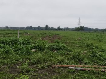 Industrial Land / Plot for Sale in Halol, Vadodara (500000 Sq.ft.)