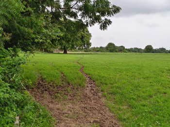 Agricultural/Farm Land for Sale in Savli, Vadodara (1500000 Sq.ft.)