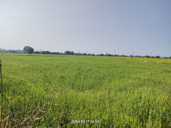 14400 Sq.ft. Agricultural/Farm Land for Sale in Barela, Jabalpur