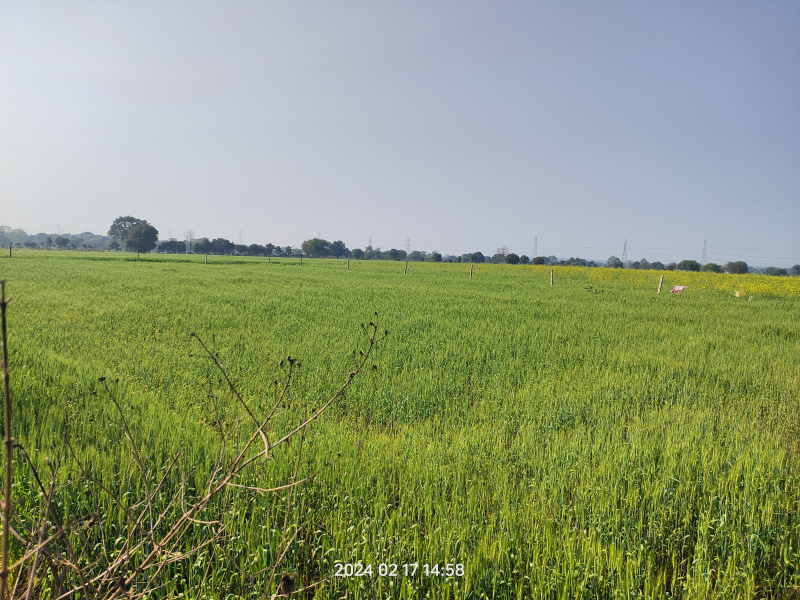 14400 Sq.ft. Agricultural/Farm Land For Sale In Barela, Jabalpur