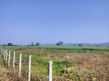 3.17 Acre Agricultural/Farm Land for Sale in Barela, Jabalpur