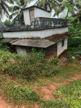 1 BHK Individual Houses / Villas for Sale in Manjeri, Malappuram (800 Sq.ft.)