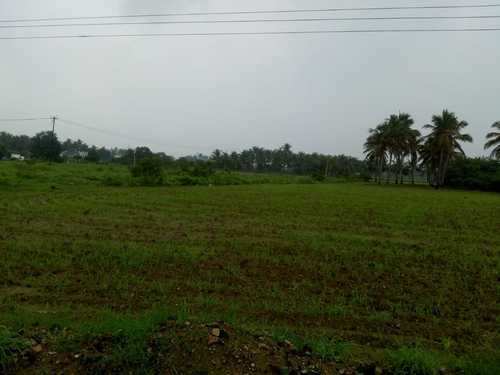 200 Acre Agricultural/Farm Land for Sale in Kommadi, Visakhapatnam