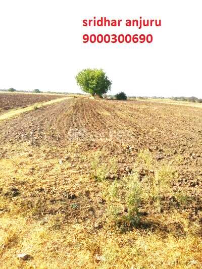 2000 Acre Agricultural/Farm Land for Sale in Naidupeta, Nellore