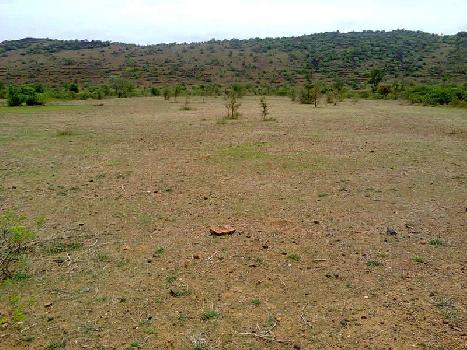 Commercial Lands /Inst. Land for Sale in Tiruchanoor, Tirupati (17 Acre)