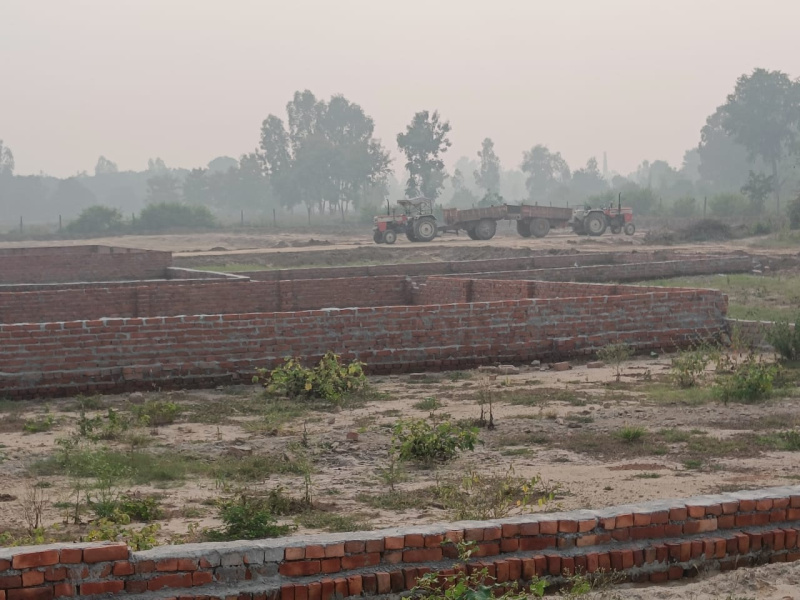 7.680 Acre Residential Plot For Sale In Digha, Medinipur