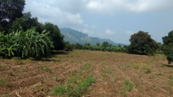 3 Ares Agricultural/Farm Land for Sale in Shirishpada Village, Palghar