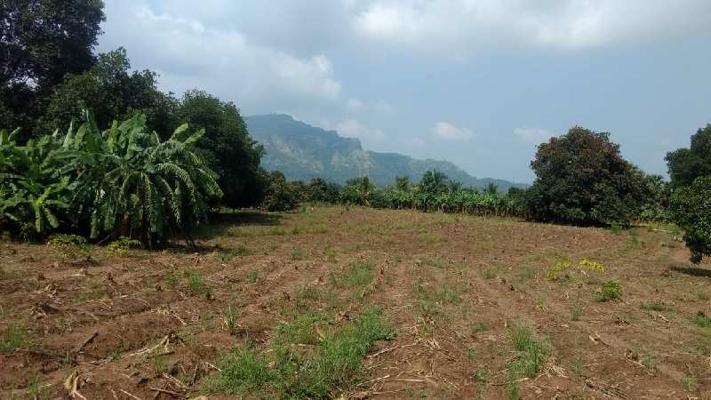 3 Ares Agricultural/Farm Land For Sale In Shirishpada Village, Palghar