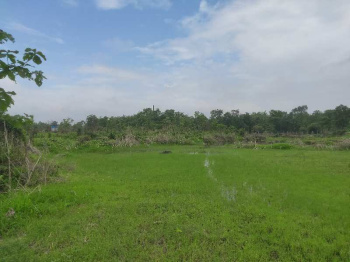 74 Guntha Agricultural/Farm Land for Sale in Wada, Palghar