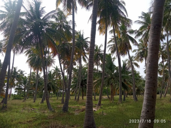 740 Cent Agricultural/Farm Land For Sale In Melakottai, Madurai
