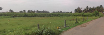 6.8 Cent Residential Plot for Sale in Saravanampatti, Coimbatore