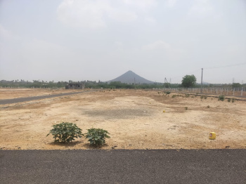 1000 Sq.ft. Commercial Lands /Inst. Land for Sale in Uthukuli, Tirupur