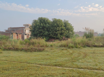 shopping complex plot