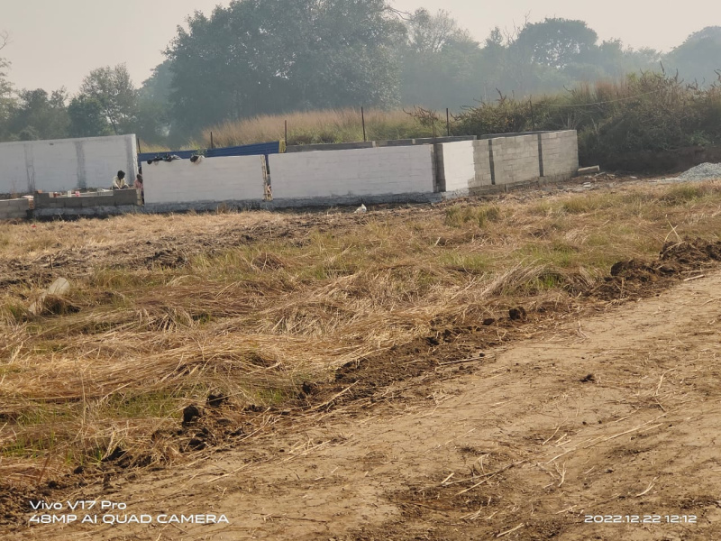 Local shop Plot (171 Sq. Meter)