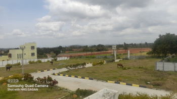 Property for sale in Denkanikottai Road, Hosur