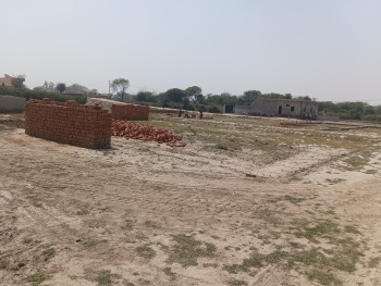 250 Sq. Yards Residential Plot for Sale in Sector 85, Faridabad