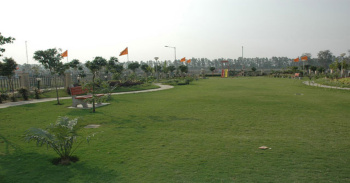 243 Sq. Yards Residential Plot for Sale in Sector 84, Faridabad