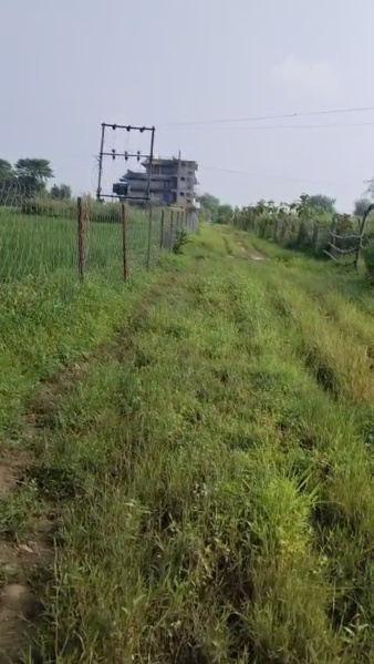 Agricultural/Farm Land For Sale In Rampur Baghelan, Satna (4.5 Acre)