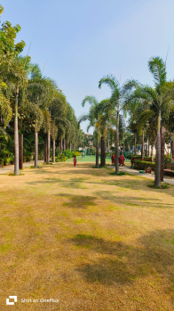 Property for sale in Kachna, Raipur