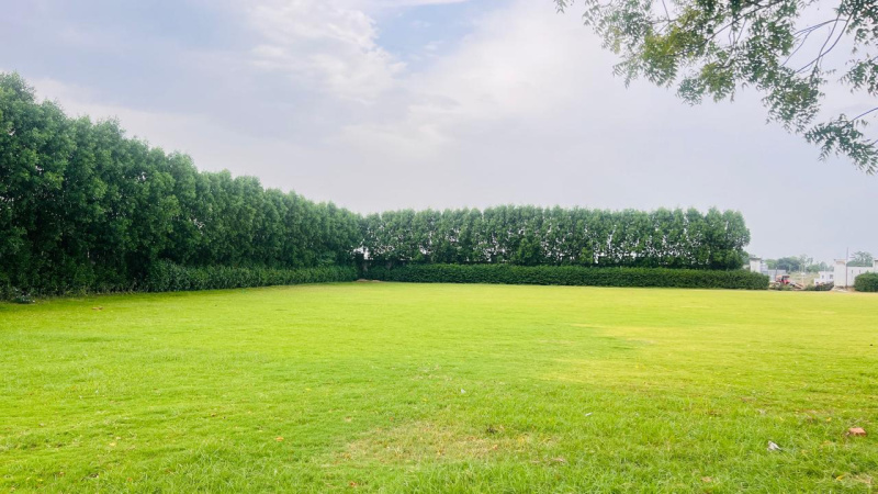 FARM HOUSE LAND FOR SALE (2016 Sq. Yards)