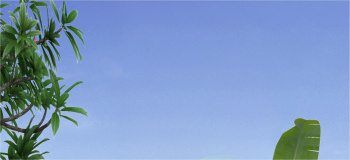 Property for sale in Bindayaka, Jaipur