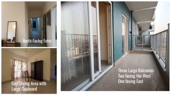 Property for sale in Sector 37 Bahadurgarh