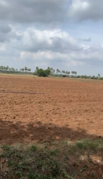 303 Sq. Yards Agricultural/Farm Land for Sale in Maruthi Nagar, Siddipet