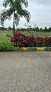 592 Sq. Yards Residential Plot for Sale in Kolluru, Hyderabad