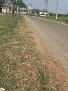 45 Cent Agricultural/Farm Land for Sale in Kadapa, Cuddapah