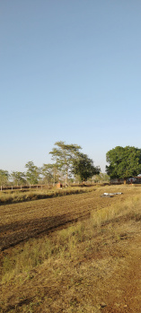 Property for sale in Basantpur, Rajnandgaon